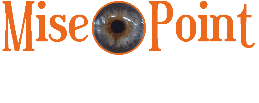 MiseOpoint, Etudes, Créations Productions Techniques Audiovisuelles informatiques telecom